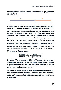 Katzen-Mathematik. Vom Einfachen zum Komplexen anhand von flauschigen Beispielen