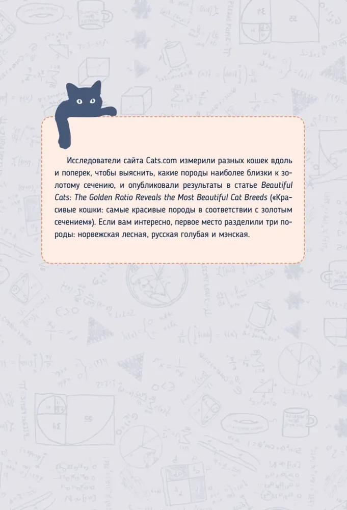 Katzen-Mathematik. Vom Einfachen zum Komplexen anhand von flauschigen Beispielen