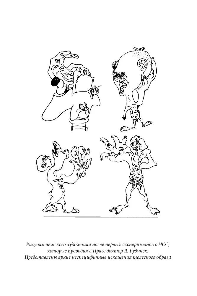 Beyond the Brain: Birth, Death, and Transcendence in Psychotherapy