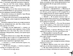 Ice Cream with Chocolate Chips