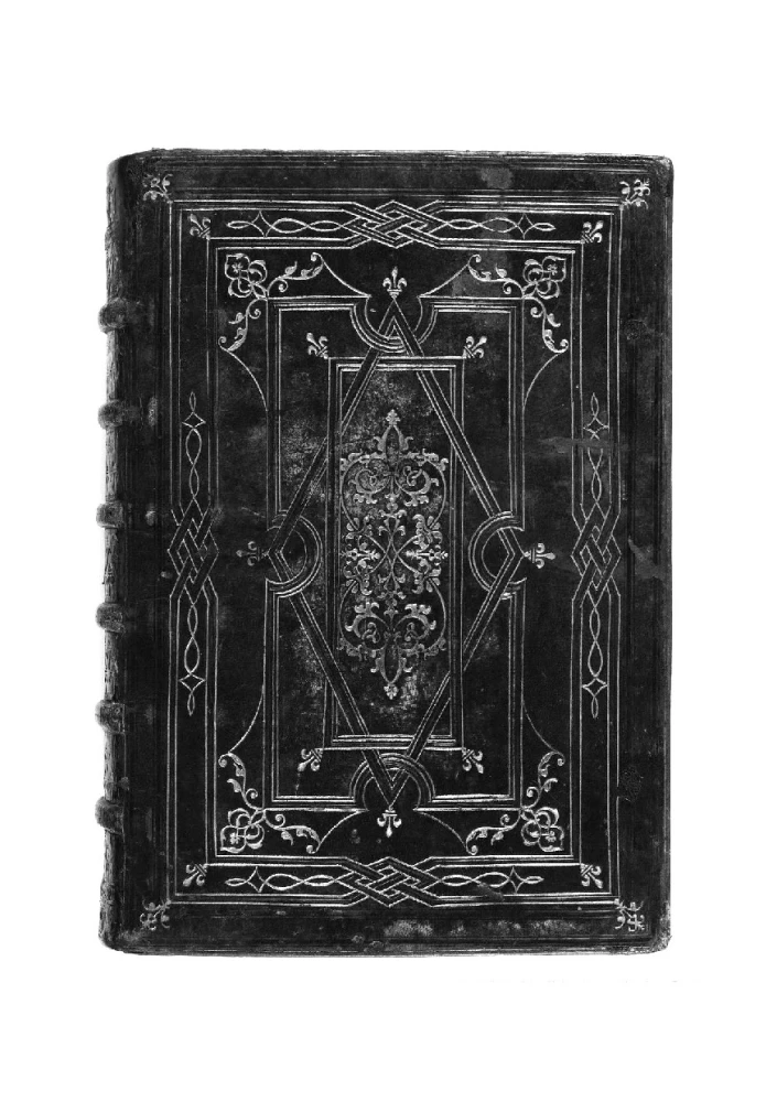 The School of the Crow and the Wolf. Calendar of Witches and Wizards. Volume 13