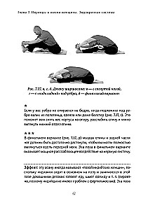 Женская йога и йога-терапия. Том II. Йога-терапия