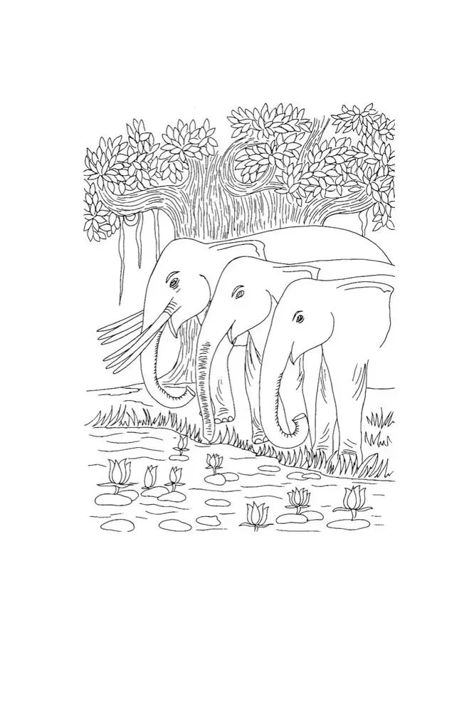 Jatakas. Erzählungen über den Buddha. Band 3