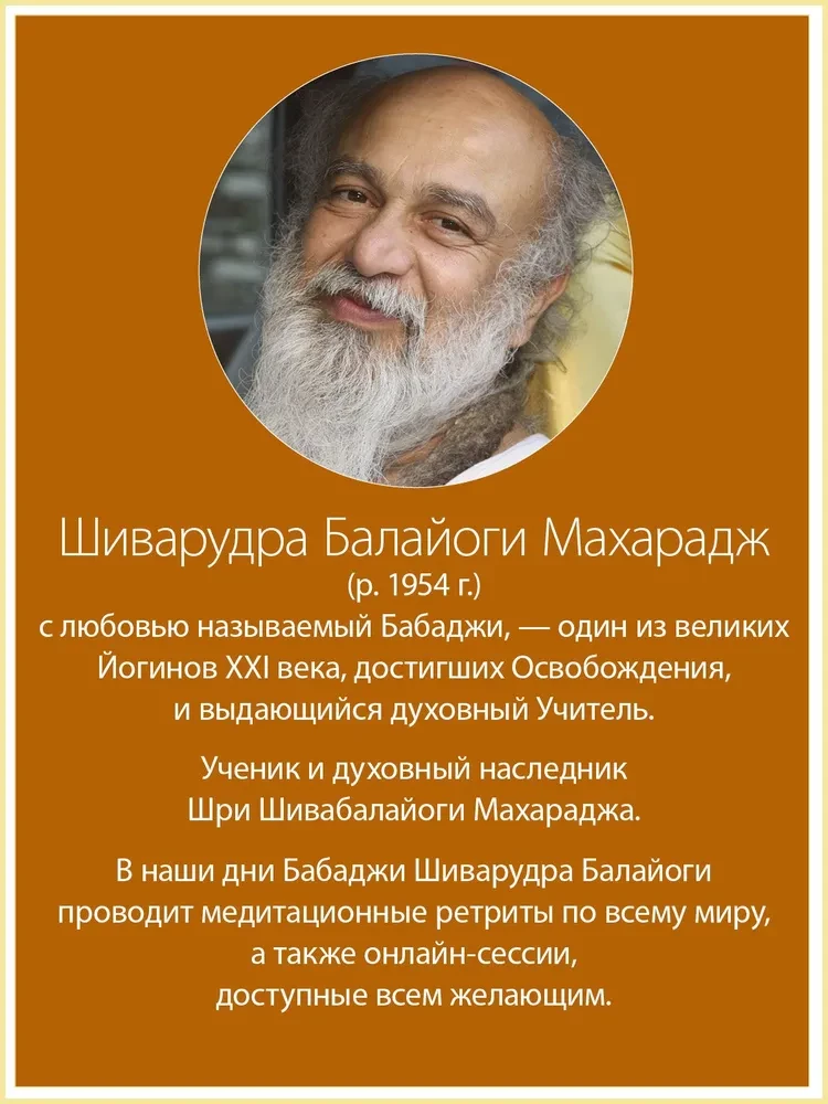 Peace Within. Conversations with Sri Shivarudra Balayogi Maharaj
