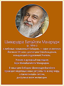 Peace Within. Conversations with Sri Shivarudra Balayogi Maharaj