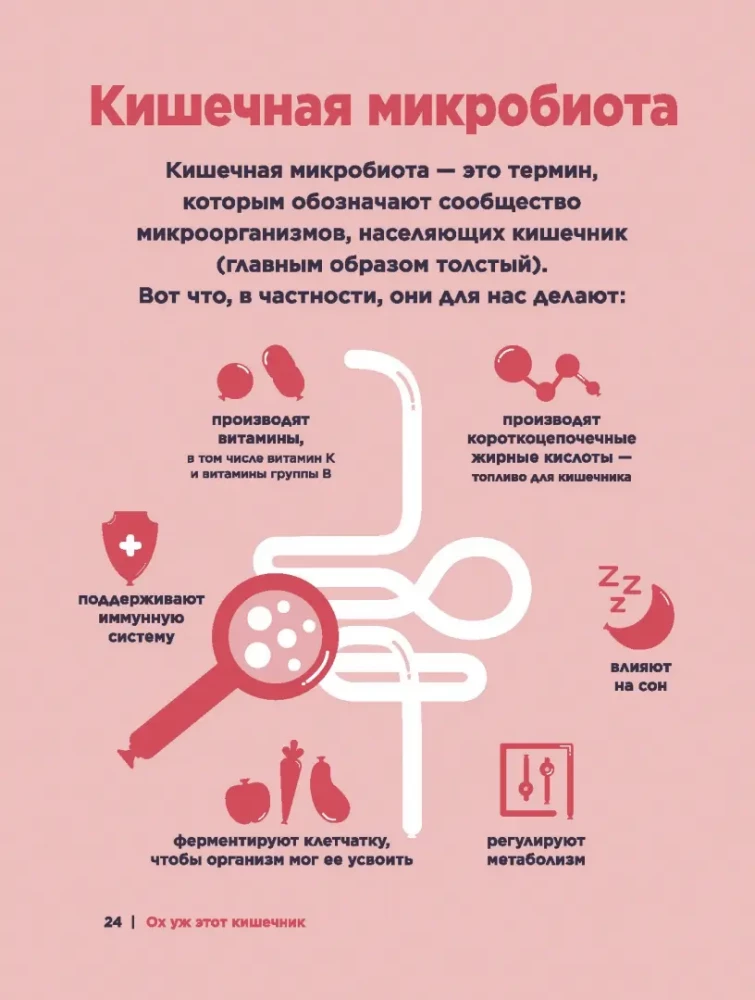 O, ten jelit. Przewodnik po układzie pokarmowym i jego mieszkańcach