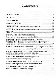 Psühhoteraapia ei ole see, mida arvate. Psühhoteraapiline interaktsioon elavas hetkes