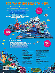 All the Secrets of the Underwater World