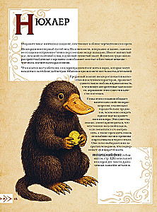 Magical Beastiary. Magical Creatures from Harry Potter