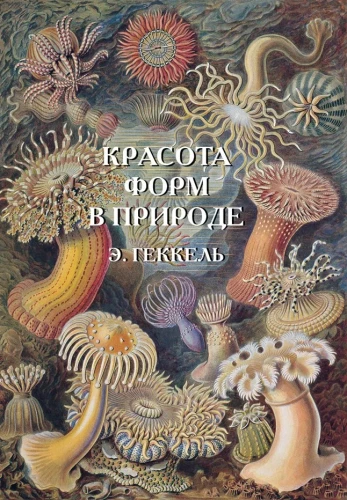 Dabas formu skaistums