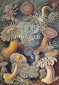 Gamtos formų grožis