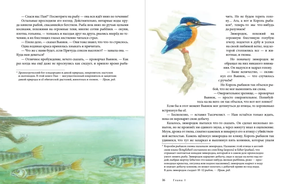 W dół przez Przyczud. Kontynuacja bestsellera W górę przez Przyczud i z powrotem