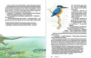 W dół przez Przyczud. Kontynuacja bestsellera W górę przez Przyczud i z powrotem