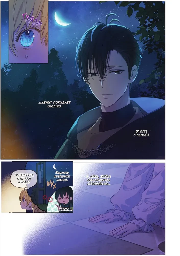 Однажды я стала принцессой. Том 9