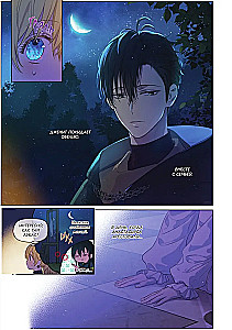 Однажды я стала принцессой. Том 9