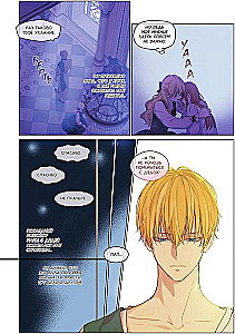 Однажды я стала принцессой. Том 9