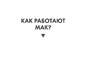 Metaphorical Cards - Rod. Messages and Blessings (68 cards + guide)