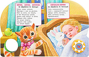 Shadow-shadow, poteten