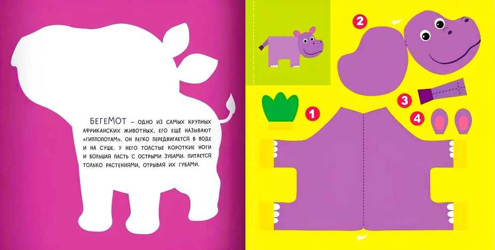 Jungle: Volume Applications