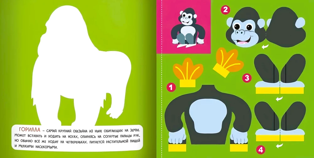 Jungle: Volume Applications