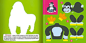 Jungle: Volume Applications