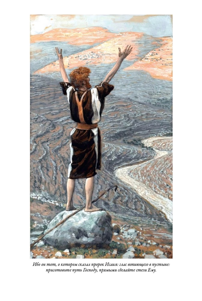 Erklärende Bibel Neues Testament (Set 2 Bände)