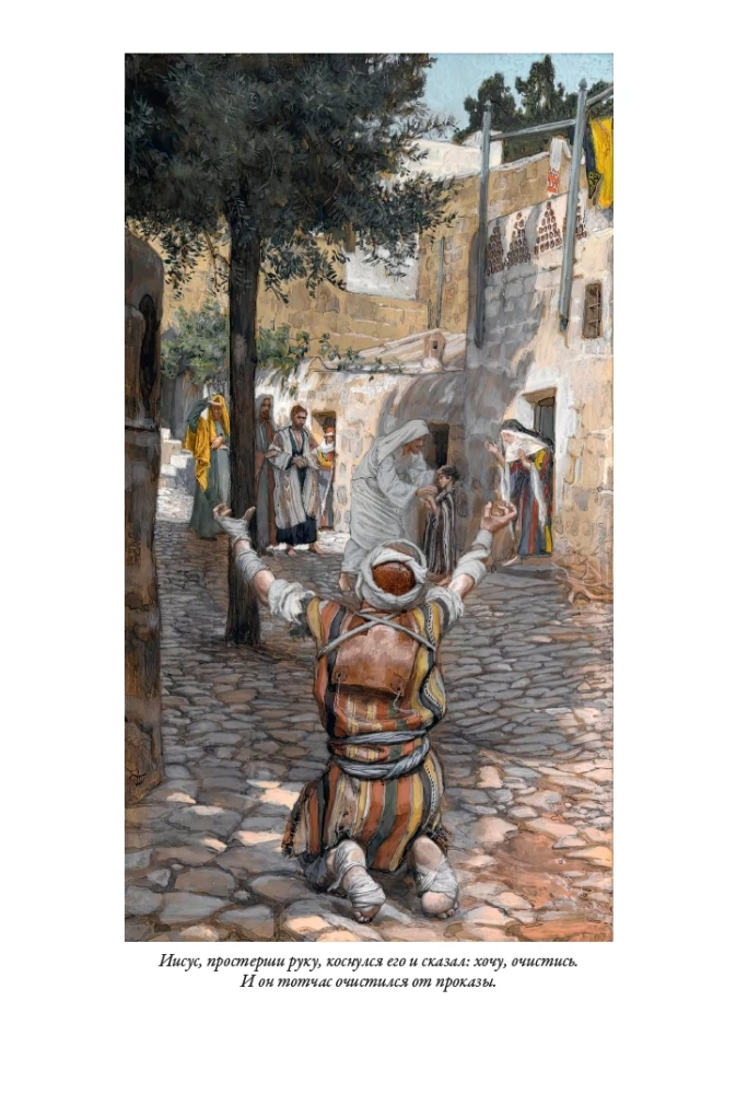 Erklärende Bibel Neues Testament (Set 2 Bände)