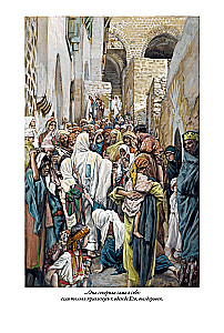 Erklärende Bibel Neues Testament (Set 2 Bände)