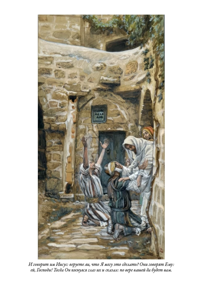 Erklärende Bibel Neues Testament (Set 2 Bände)