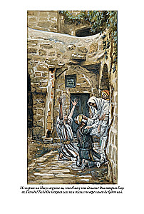 Erklärende Bibel Neues Testament (Set 2 Bände)