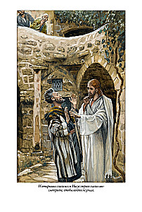 Erklärende Bibel Neues Testament (Set 2 Bände)