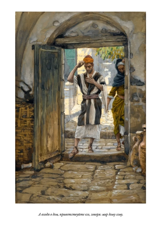 Erklärende Bibel Neues Testament (Set 2 Bände)