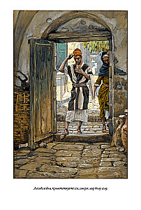 Erklärende Bibel Neues Testament (Set 2 Bände)