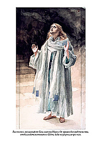 Erklärende Bibel Neues Testament (Set 2 Bände)