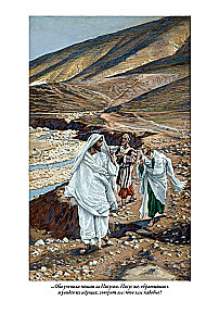 Erklärende Bibel Neues Testament (Set 2 Bände)