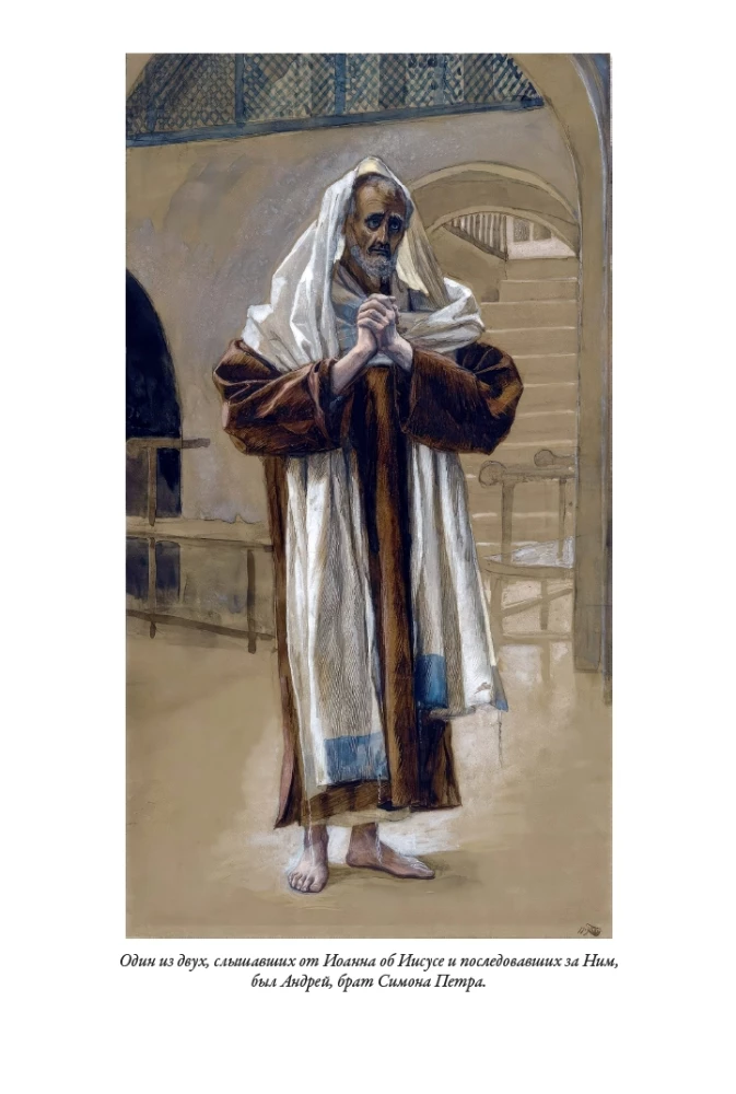 Erklärende Bibel Neues Testament (Set 2 Bände)