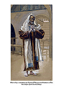 Erklärende Bibel Neues Testament (Set 2 Bände)