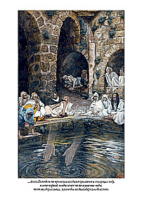 Erklärende Bibel Neues Testament (Set 2 Bände)