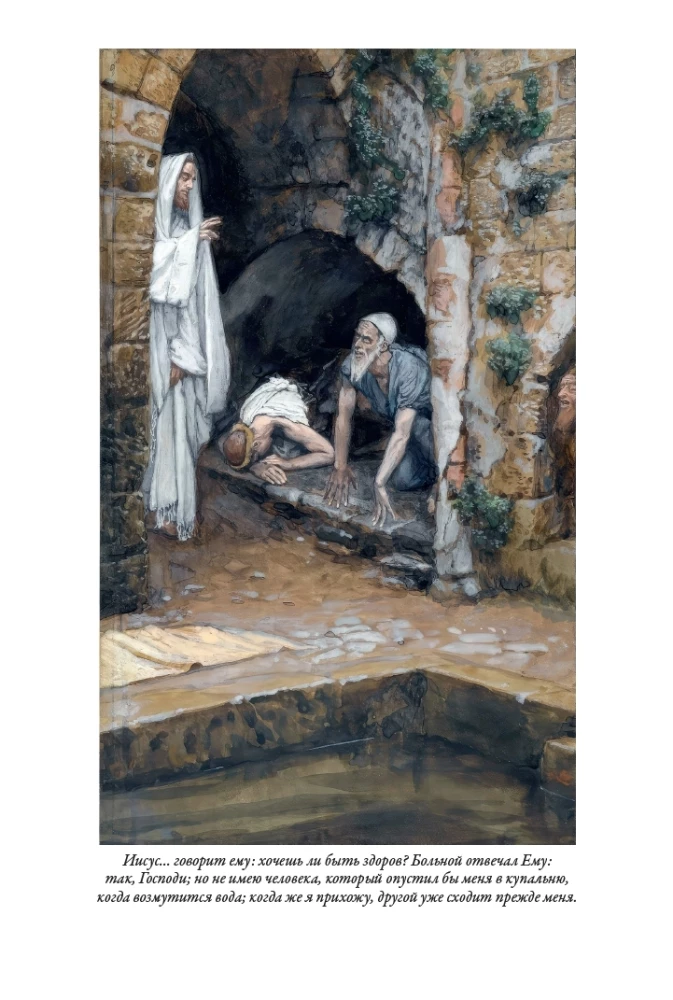 Erklärende Bibel Neues Testament (Set 2 Bände)