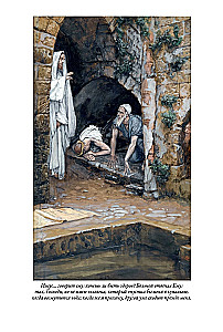 Erklärende Bibel Neues Testament (Set 2 Bände)