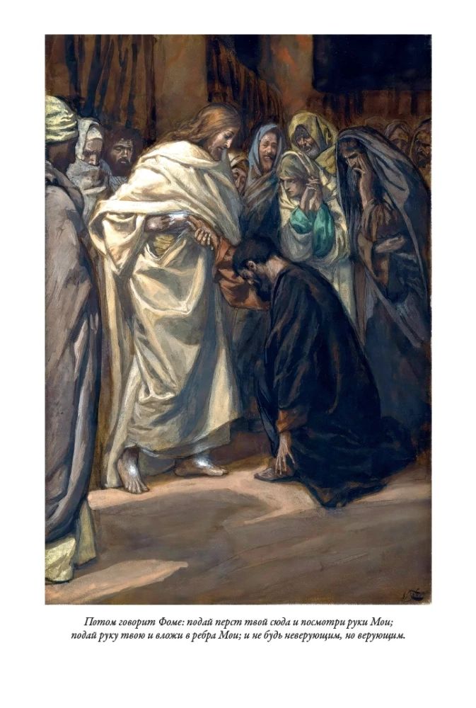 Erklärende Bibel Neues Testament (Set 2 Bände)