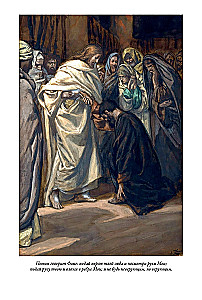 Erklärende Bibel Neues Testament (Set 2 Bände)