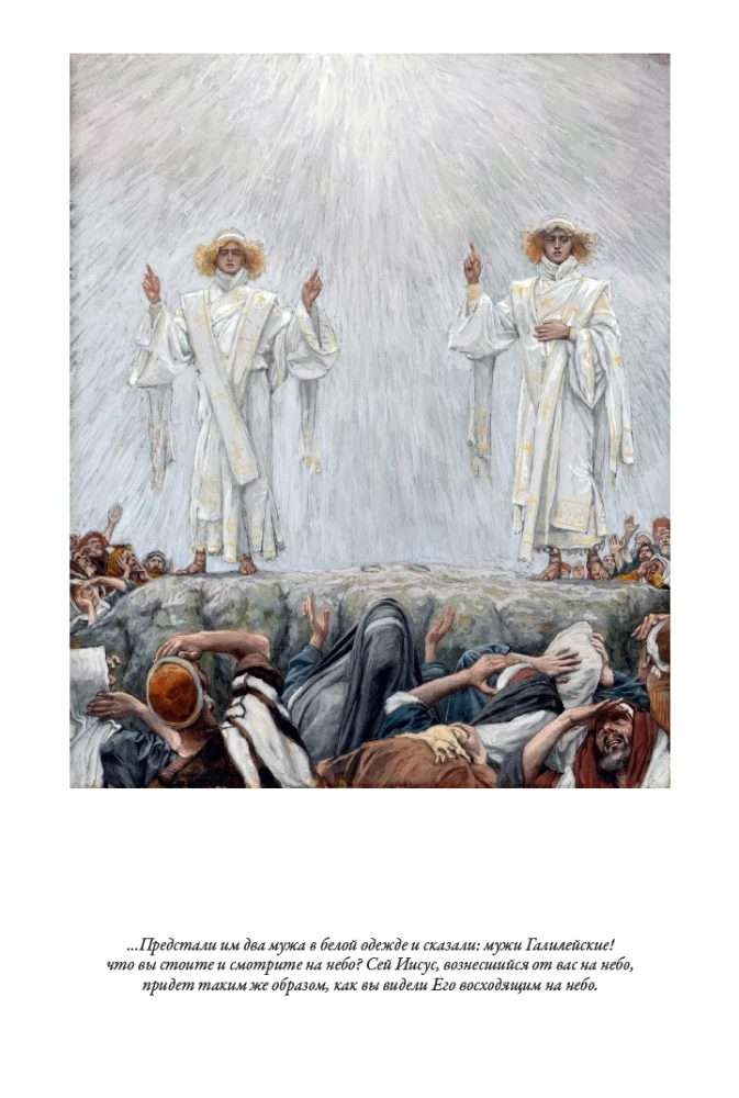 Erklärende Bibel Neues Testament (Set 2 Bände)