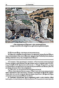 Erklärende Bibel Neues Testament (Set 2 Bände)