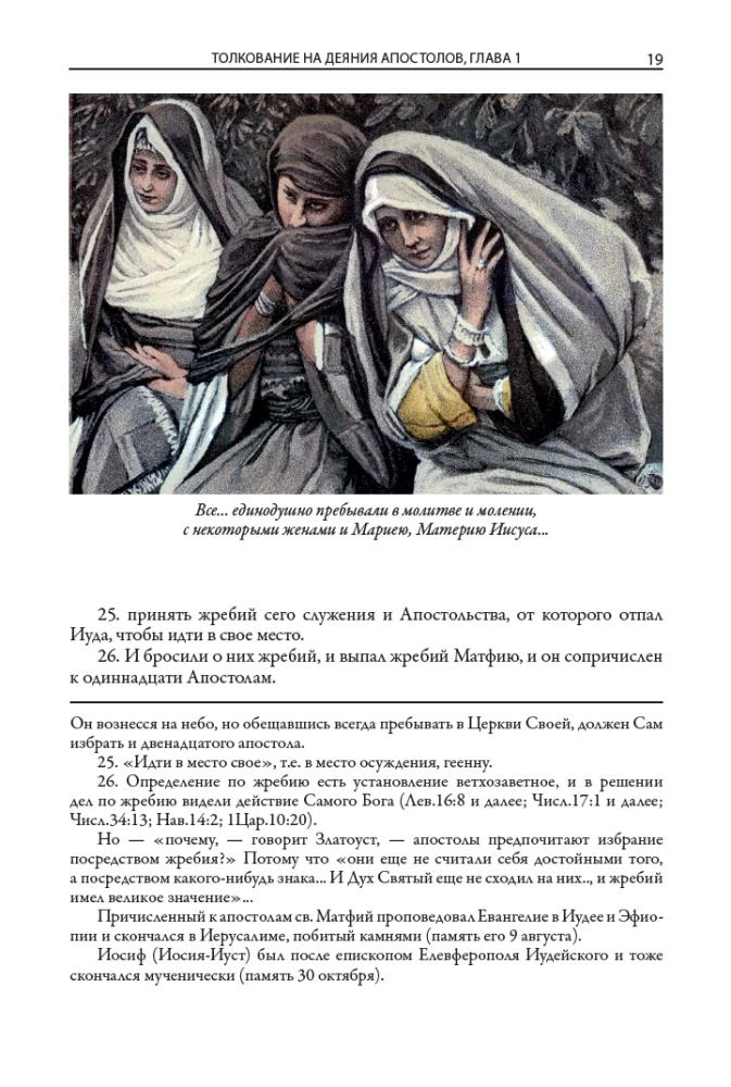 Erklärende Bibel Neues Testament (Set 2 Bände)