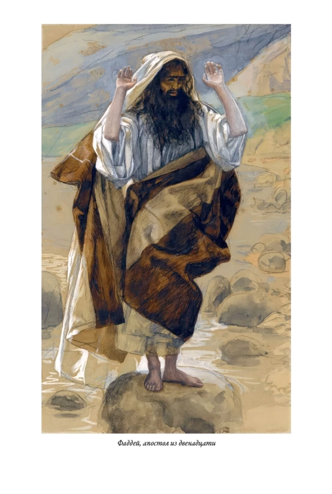 Erklärende Bibel Neues Testament (Set 2 Bände)