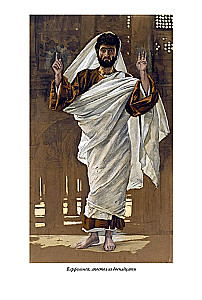 Erklärende Bibel Neues Testament (Set 2 Bände)