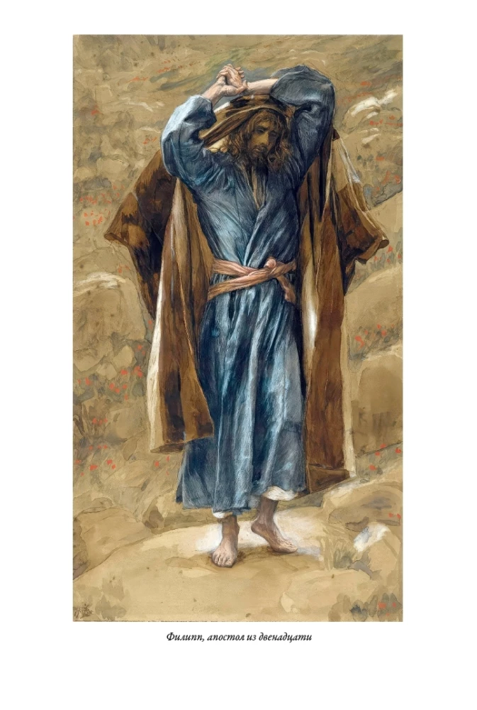 Erklärende Bibel Neues Testament (Set 2 Bände)