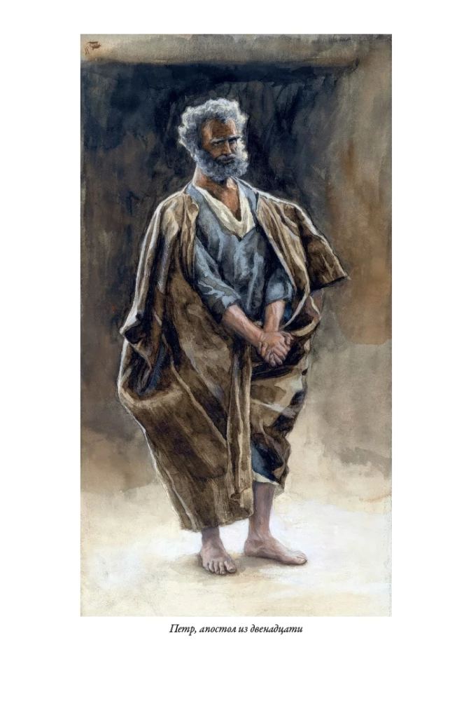 Erklärende Bibel Neues Testament (Set 2 Bände)