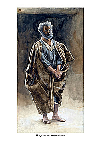 Erklärende Bibel Neues Testament (Set 2 Bände)